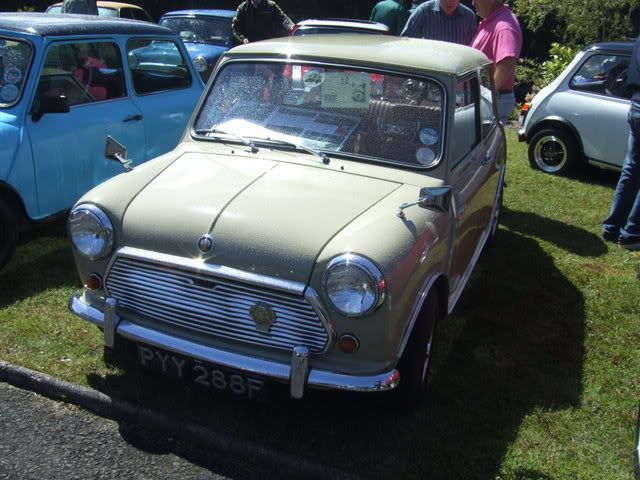 MINI IN THE GARDEN 2008 BallymenaShow08055