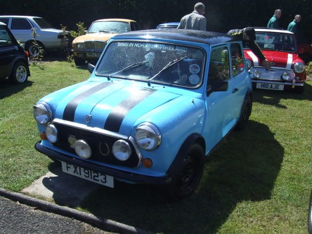 MINI IN THE GARDEN 2008 BallymenaShow08056