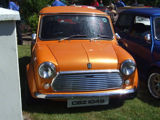 MINI IN THE GARDEN 2008 BallymenaShow08064