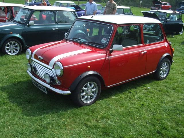 Tullymore Forest Mini SHow 11/05/2008 TullymoreforestMiniShow11052008029