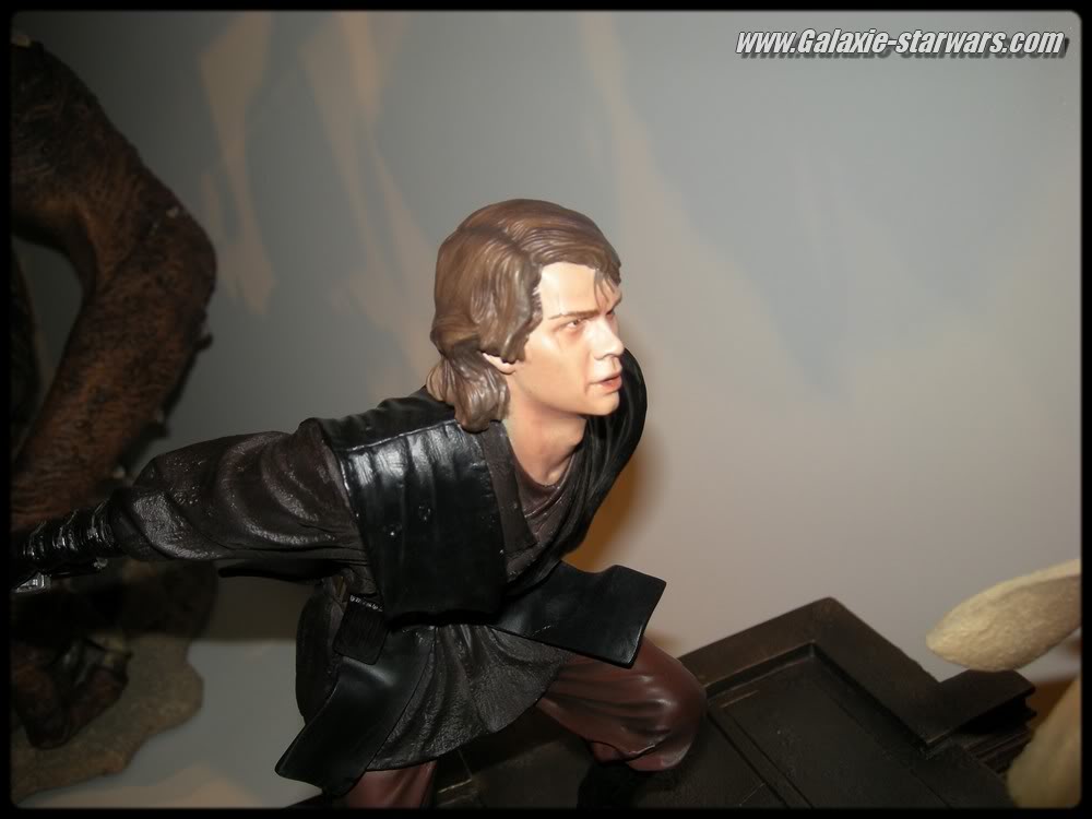 Obi-Wan VS Anakin Diorama - Revenge Of The Sith - Sideshow DSCN0503