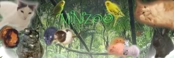 PARTENAIRES SERVICES OfficielMINIZOO2-nouveau