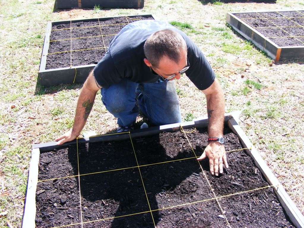 My Square Foot Garden all planted DSCF5563