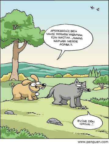 karikatrler _241_s10