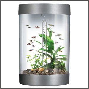 Chambre 109 (event) Aquarium-biorb-biube-35-l-silver