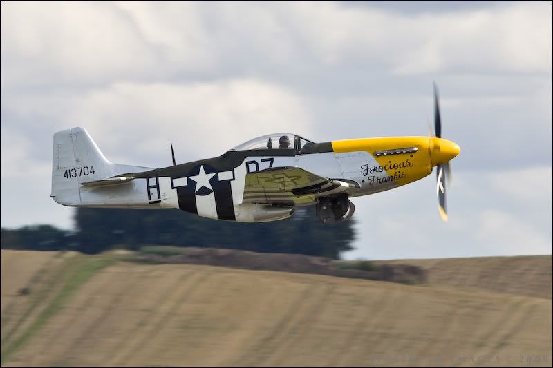 Ferocious Frankie P513