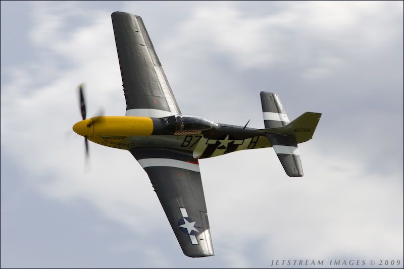 Ferocious Frankie P514