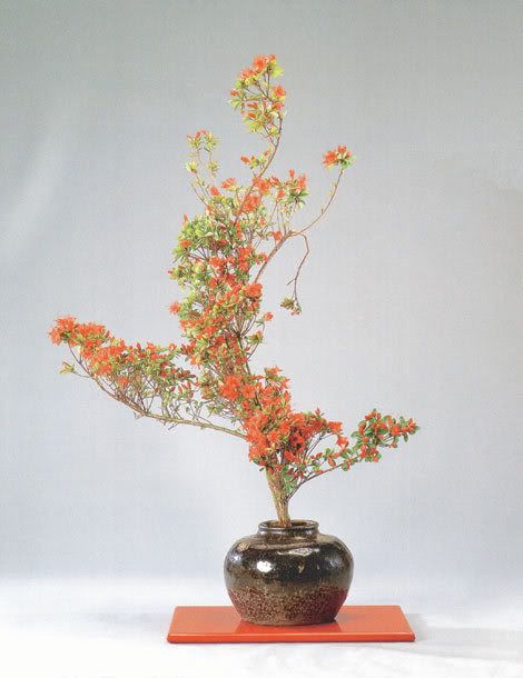 ikebana ou arrangement floral Ikebana