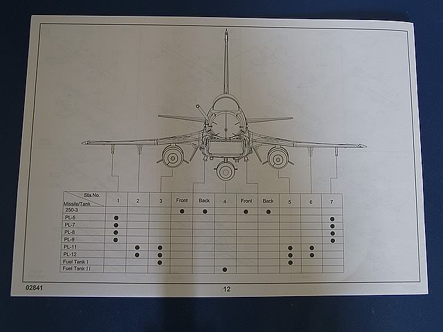 [TRUMPETER] PLAAF J-10A Vigorous Dragon - 1/48eme 100_9191