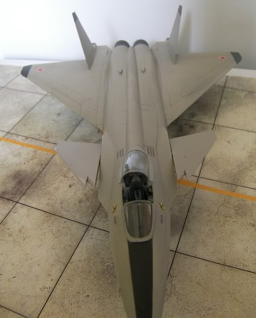 [Revell] Mig 1.44 - 1/72ème 100_9211