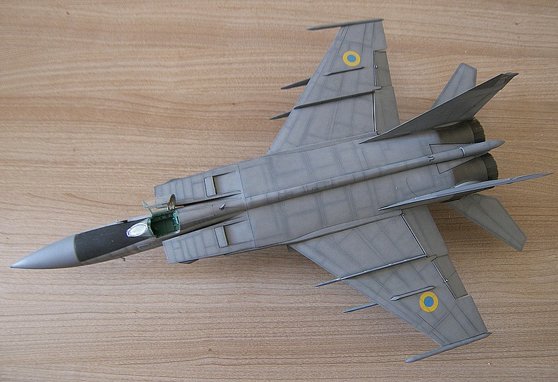 [Kitty Hawk] Mig-25 Foxbat 1/48 100_1568