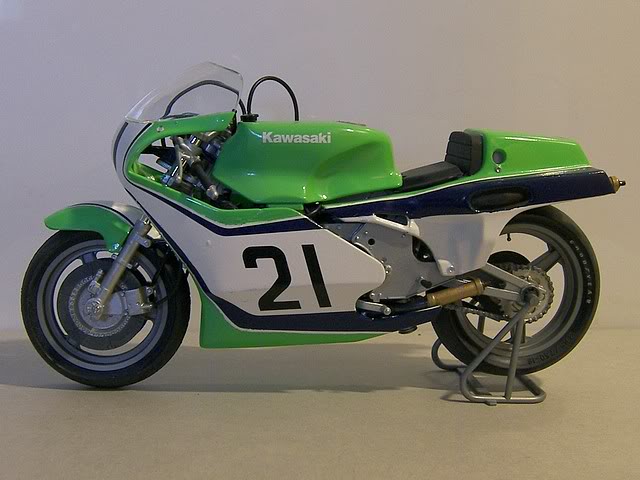 Frelon - Mes Kawasaki 100_4569