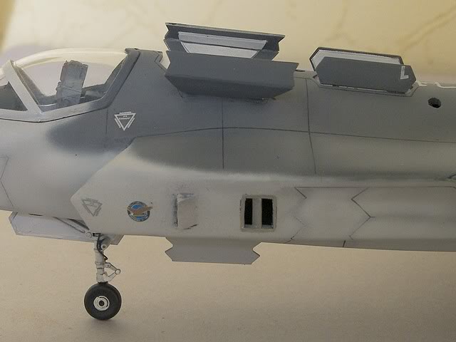 LOCKHEED MARTIN  X-35A  USMC by PANDA MODEL - 1/48eme 100_5433