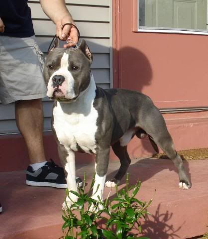 Month of August Male class entry DSC01595