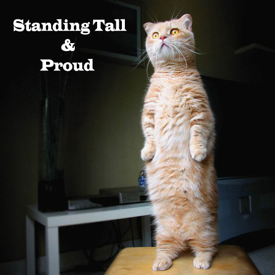 Since no one wants to post... StandingTallandProud