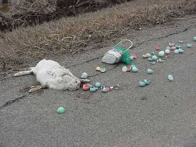 suite a un accident Paque est annulée Easter-1