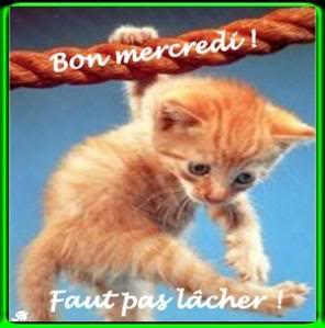 Bon mercredi............ Bon_mercredi_222