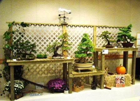 Carolina Bonsai Expo 2010 Pictures - Page 3 Displayedit