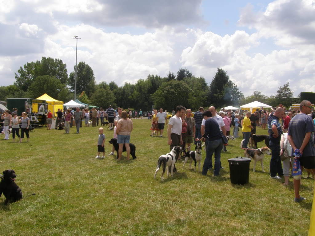 Dogs trust kenilworth open day P7100236