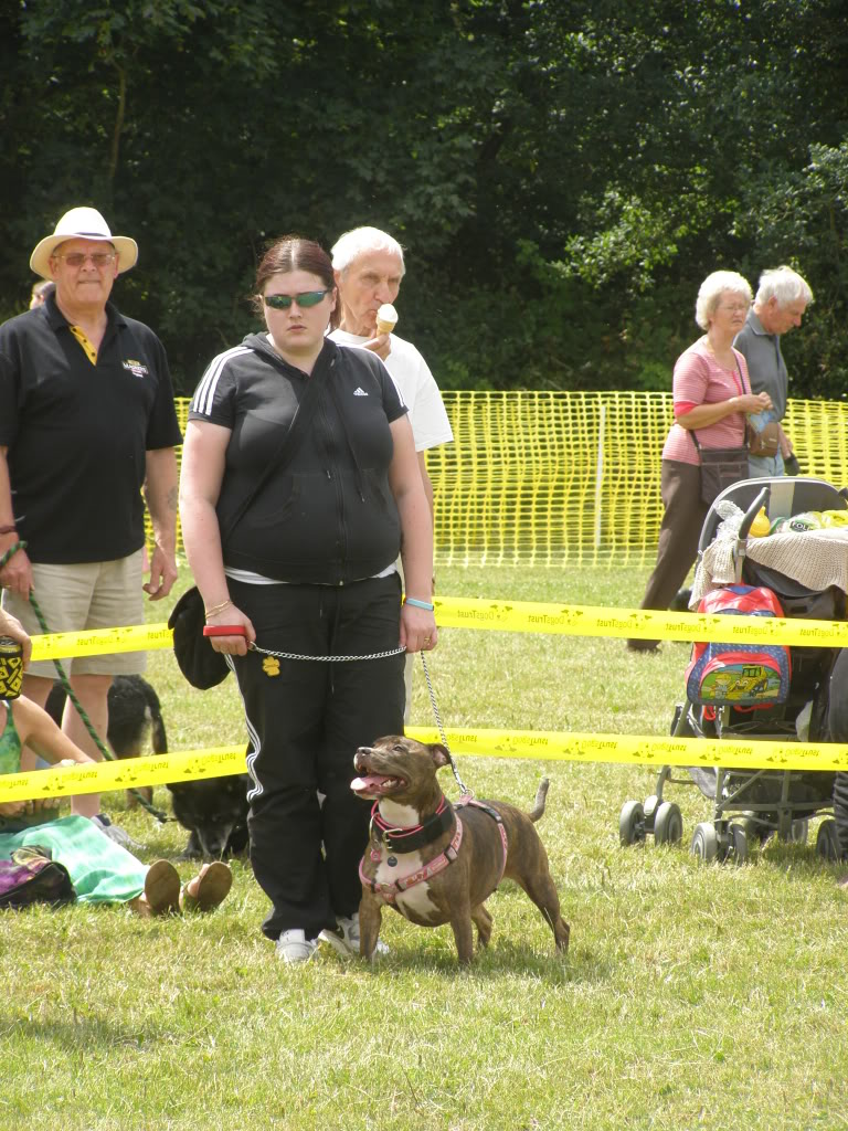 Dogs trust kenilworth open day P7100245