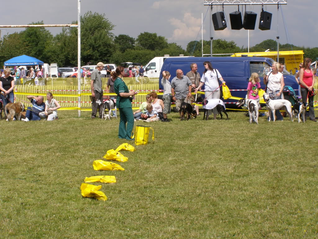 Dogs trust kenilworth open day P7100253