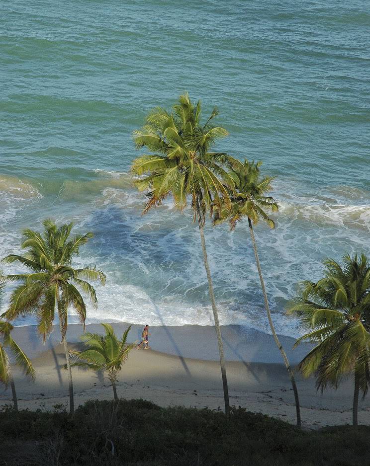 João Pessoa - Do Cabo Branco ao litoral sul da PB - Com imagens de Tambaba, a praia naturista da Paraíba 252513813_6c73adbc44_o