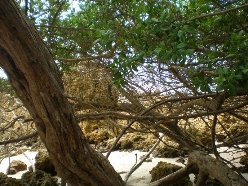 João Pessoa - Do Cabo Branco ao litoral sul da PB - Com imagens de Tambaba, a praia naturista da Paraíba P4201809