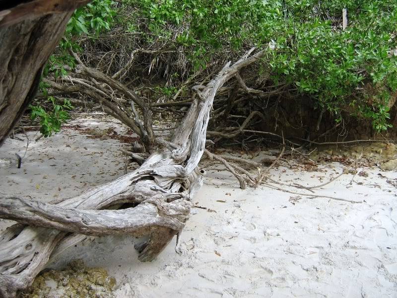 João Pessoa - Do Cabo Branco ao litoral sul da PB - Com imagens de Tambaba, a praia naturista da Paraíba Imagens0093