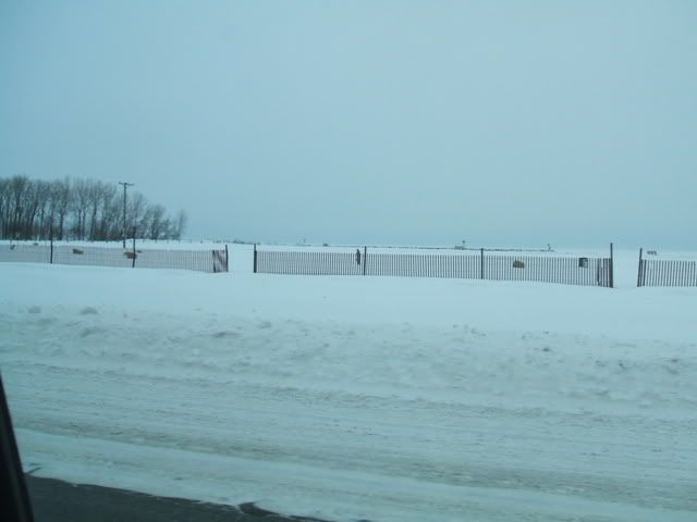 Good News-Lake Erie Ice Updates 2009 002-1