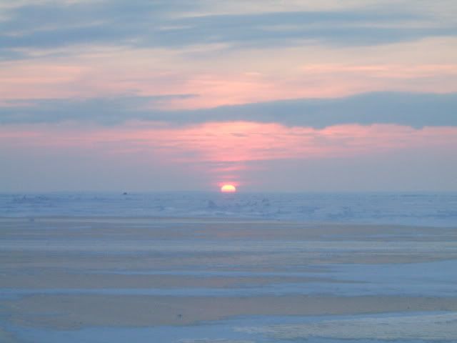 First Day On Erie Ice-Walleyes Pictures 004-2