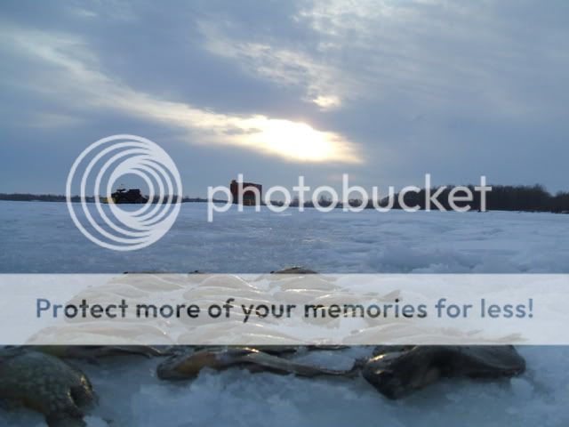 More Ice Fishing, More Big Gills 008-2