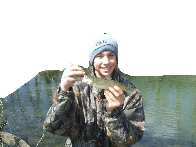 MAD RIVER-Trout and Chubs-Pictures DSCF1883-1