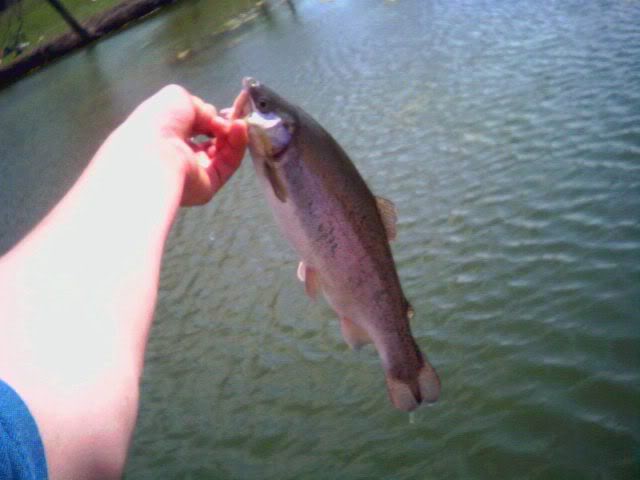 1 of 3/4-26/East Harbor Trout Image01298