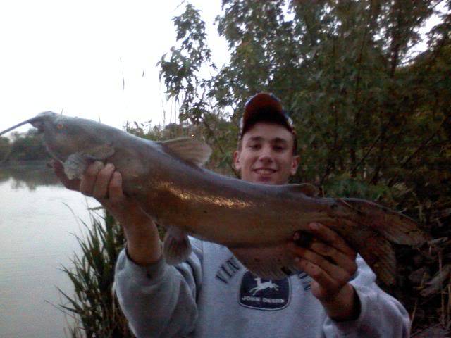 Cats, Gills, Bass. A little variety in NW Ohio fishing 0515102048