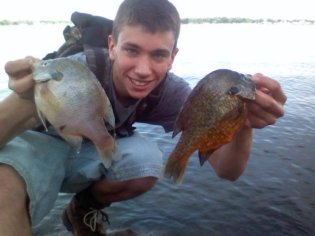 Missed the state record by less than 1/2inch!! Pumpkinseed Sunfish 0520101919