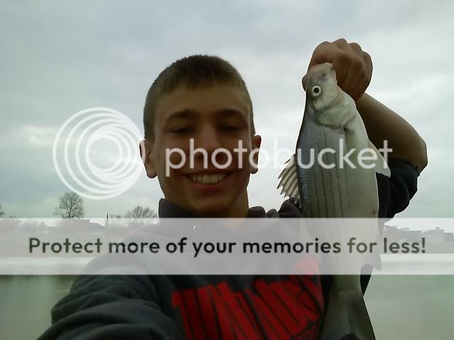 Sandusky River White Bass Run 0420081657a