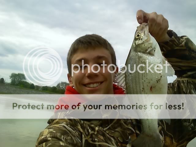 Sandusky River White Bass Run - Page 2 0520081752a