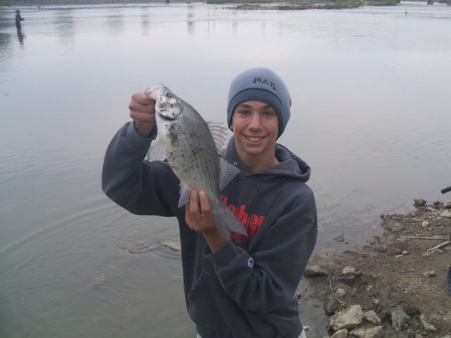 Sandusky River White Bass Run - Page 2 DidgiFishPics3101