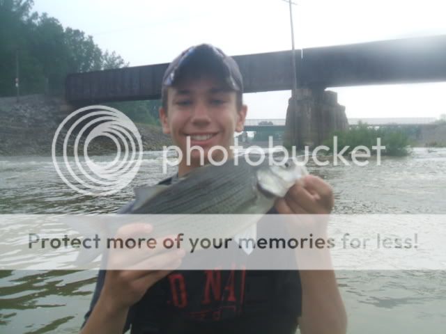 Sandusky River White Bass Run - Page 2 DidgiFishPics3124