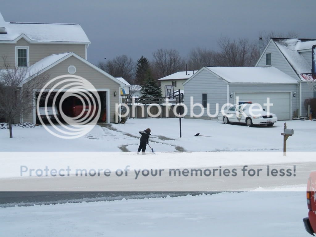 We Got The Snow Again (Friday) DigiFishpics2