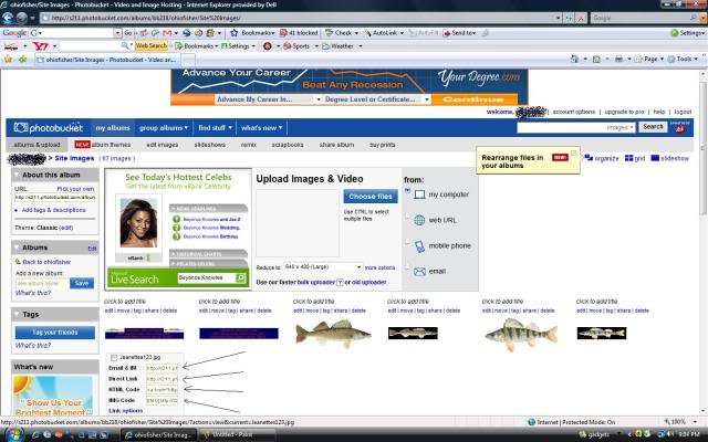 Photo Bucket/Servimg Tutorials (How To Post Pictures) (Also Screenshots) Untitled5-1