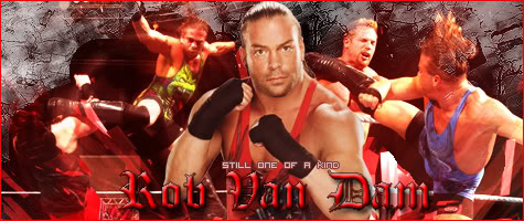 Negocio de RVD Rvd