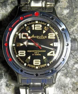 Quelle sera votre prochaine plongeuse ? Myamphibia