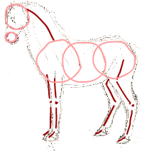 Dibujar caballos 3-2