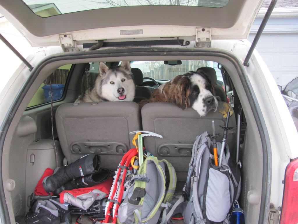 Hiking With Dogs: Signal Mountain Trail, Colorado (With Puppins' 1st Snowshoe Update) IMG_3352