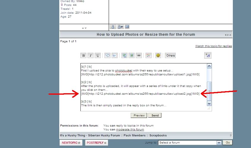 posting photos - How to Upload Photos or Resize them for the Forum Upload3