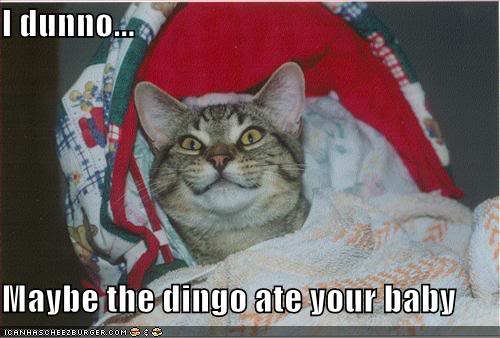 Funny Cats Funny-pictures-cat-baby-bed-dingo