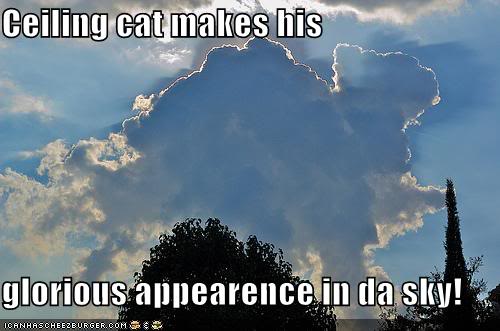 Funny Cats Funny-pictures-ceiling-cat-cloud