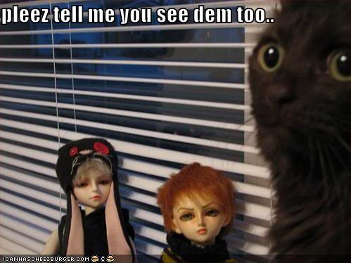 Funny Cats Funny-pictures-scared-cat-dolls