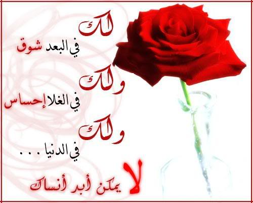 قلب أضـــــــــــــــــــــــــــــــــــــــــــــــــــــــــــــــناه الفراق 15192001631401890514